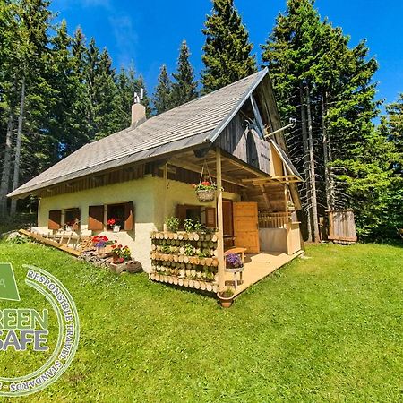 Mountain Eco Chalet Konjska Dolina On 1400 M Asl -Near Pokljuka Srednja Vas v Bohinju Eksteriør bilde
