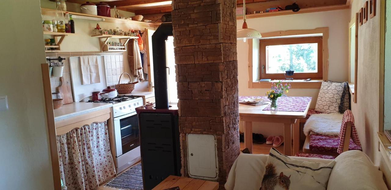 Mountain Eco Chalet Konjska Dolina On 1400 M Asl -Near Pokljuka Srednja Vas v Bohinju Eksteriør bilde