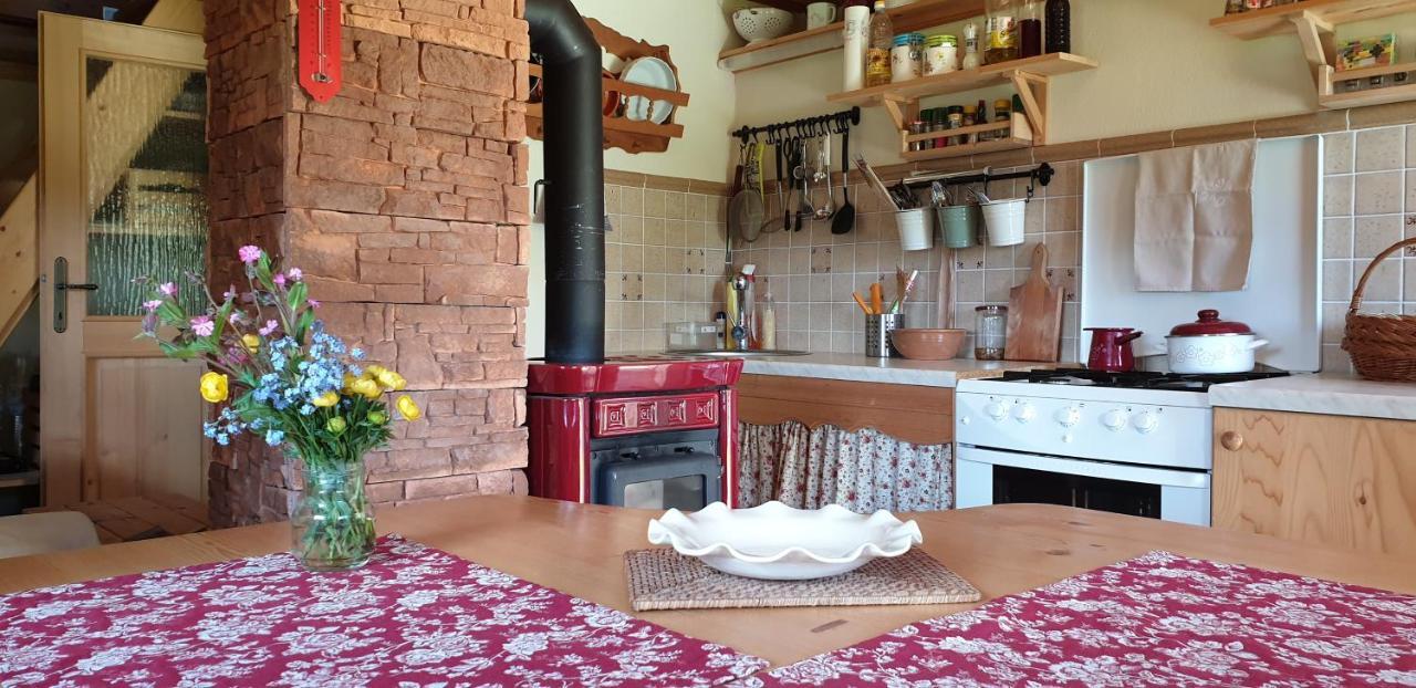 Mountain Eco Chalet Konjska Dolina On 1400 M Asl -Near Pokljuka Srednja Vas v Bohinju Eksteriør bilde